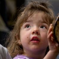 indoor photo at eye-level with a young child, two years old or so, holding an empty turtle shell and looking up